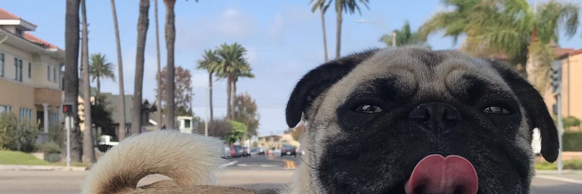 hellocrystall's profile banner image