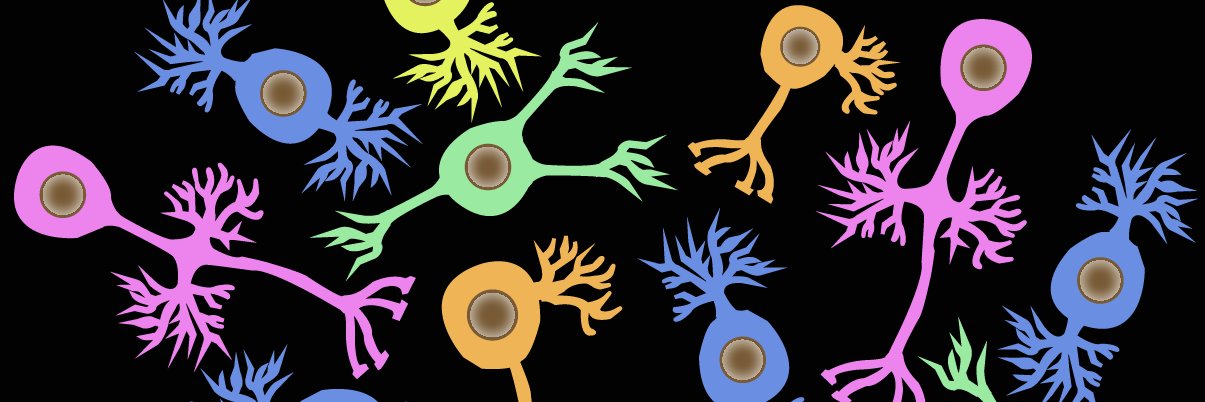 Dr Paula C Salamone's banner