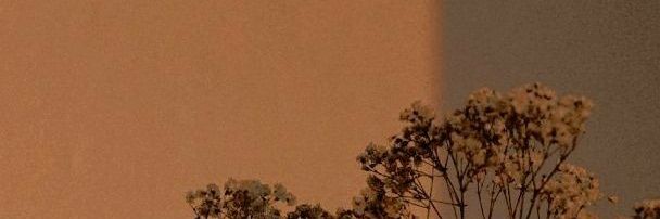 🥀 banner