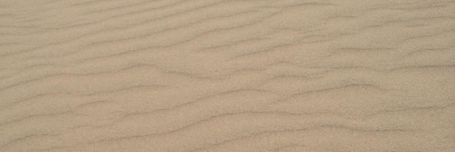 Trinity_miniJ's profile banner image