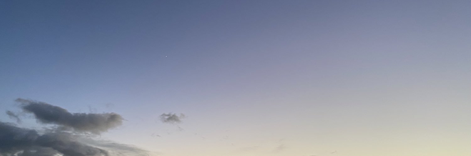 TSLA847's profile banner image