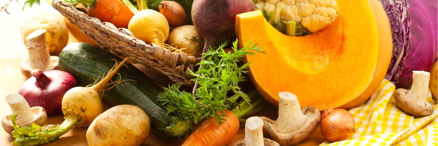 Paleo Plan banner