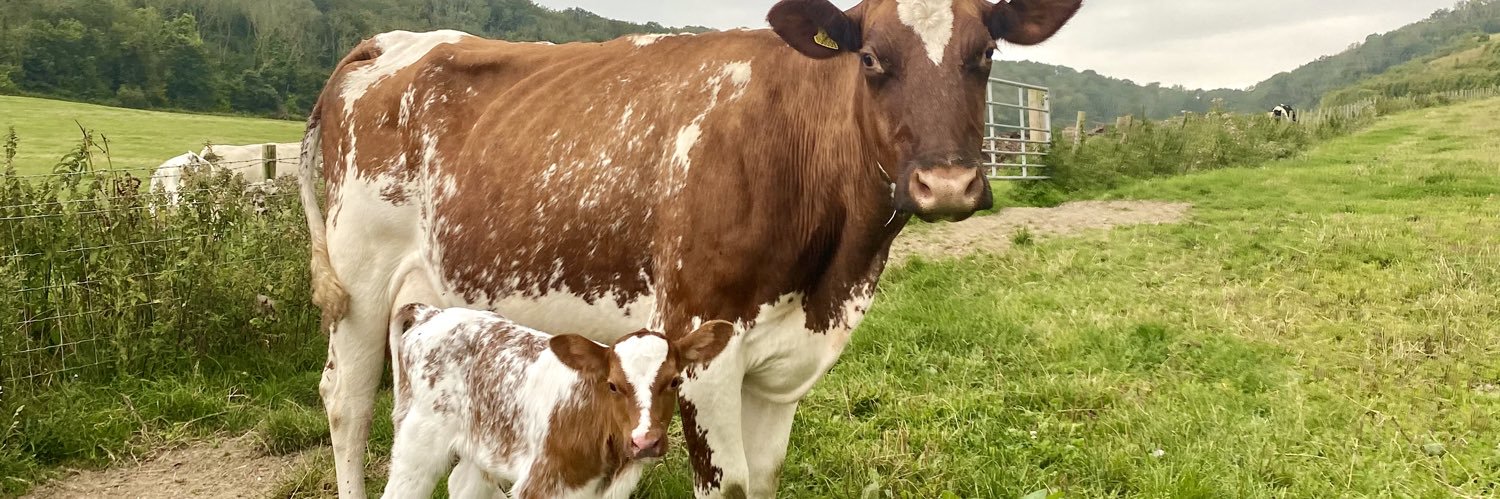 Florence Mannerings banner