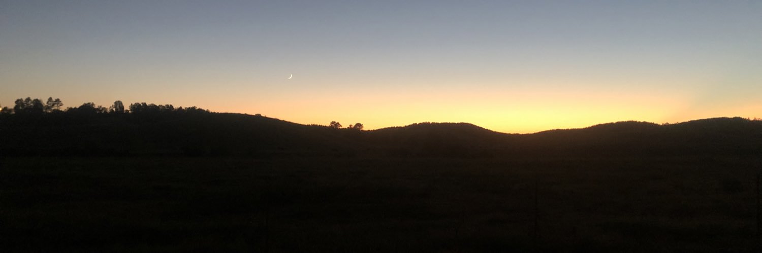 lesliebth's profile banner image