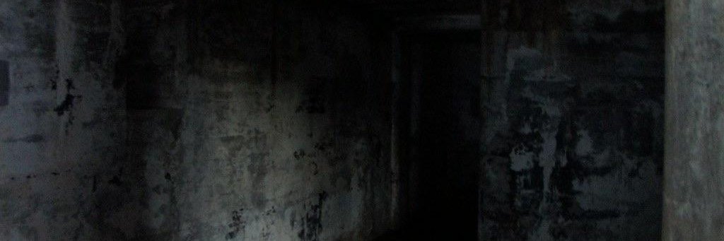 SergioCanicio's profile banner image