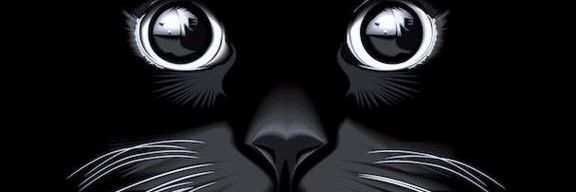 Jered_dk's profile banner image