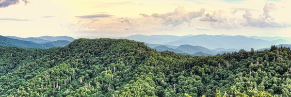 AscanoLab Profile Banner