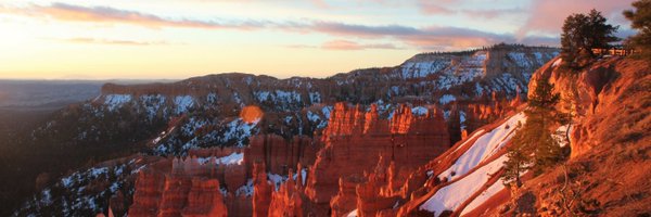 BDLeibowicz Profile Banner