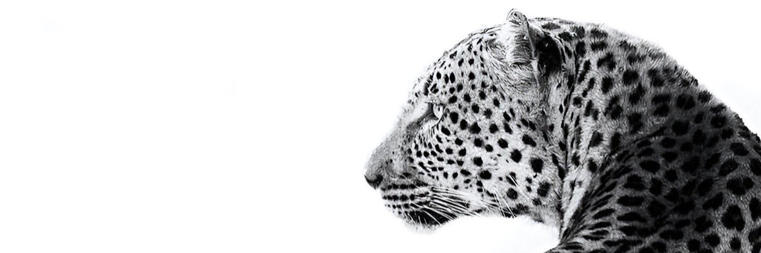 rubsx_'s profile banner image