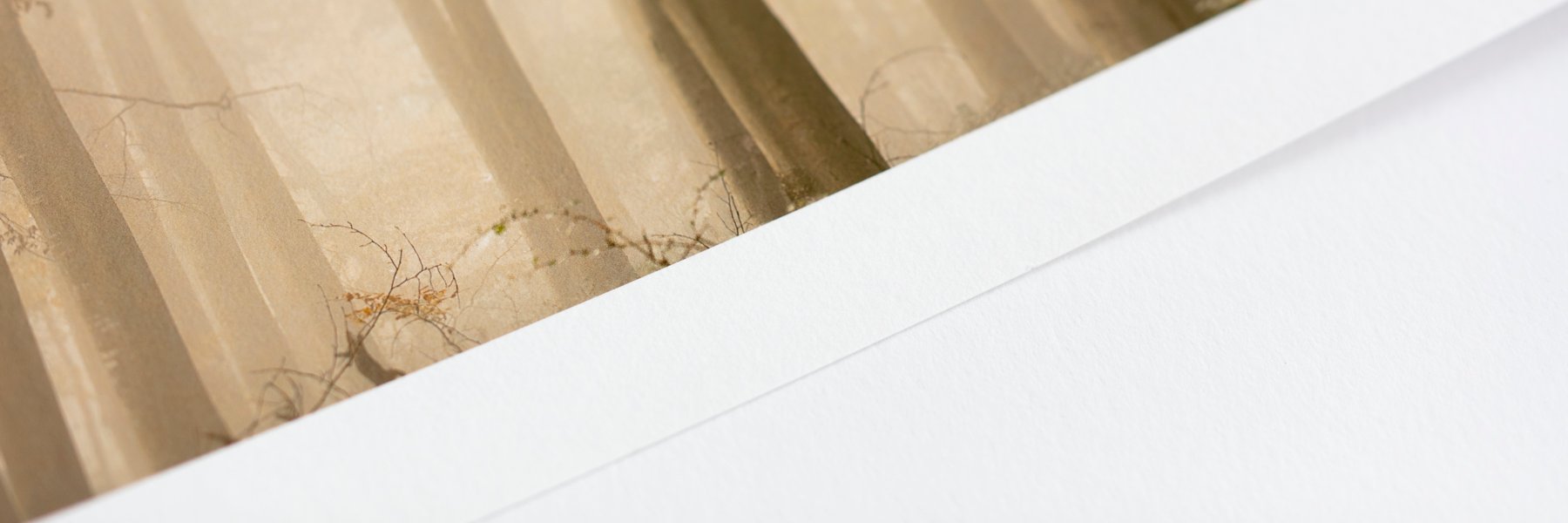 fineartink's profile banner image