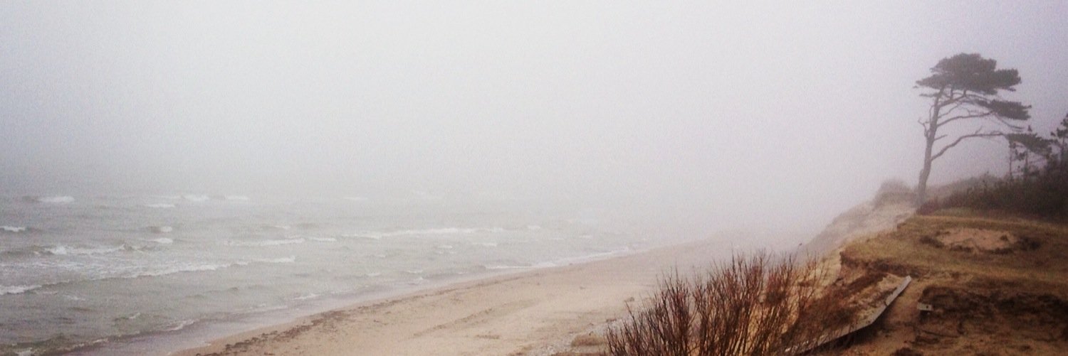 ElitaBaklāneAnsberga banner