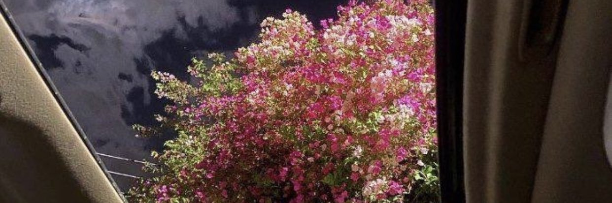 sky_rob24's profile banner image