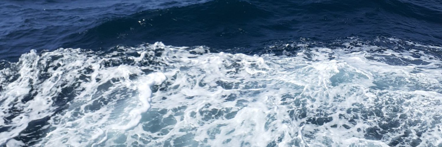 Erdem banner