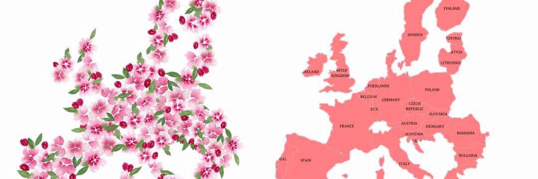 Cider Explorer banner