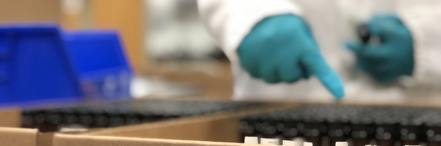 Megan Flowers banner