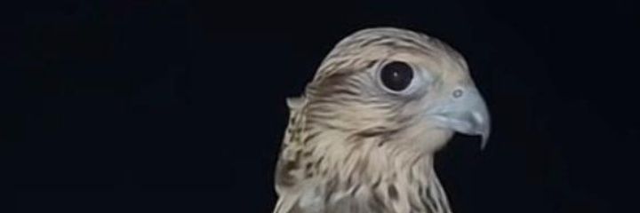 i9li7's profile banner image