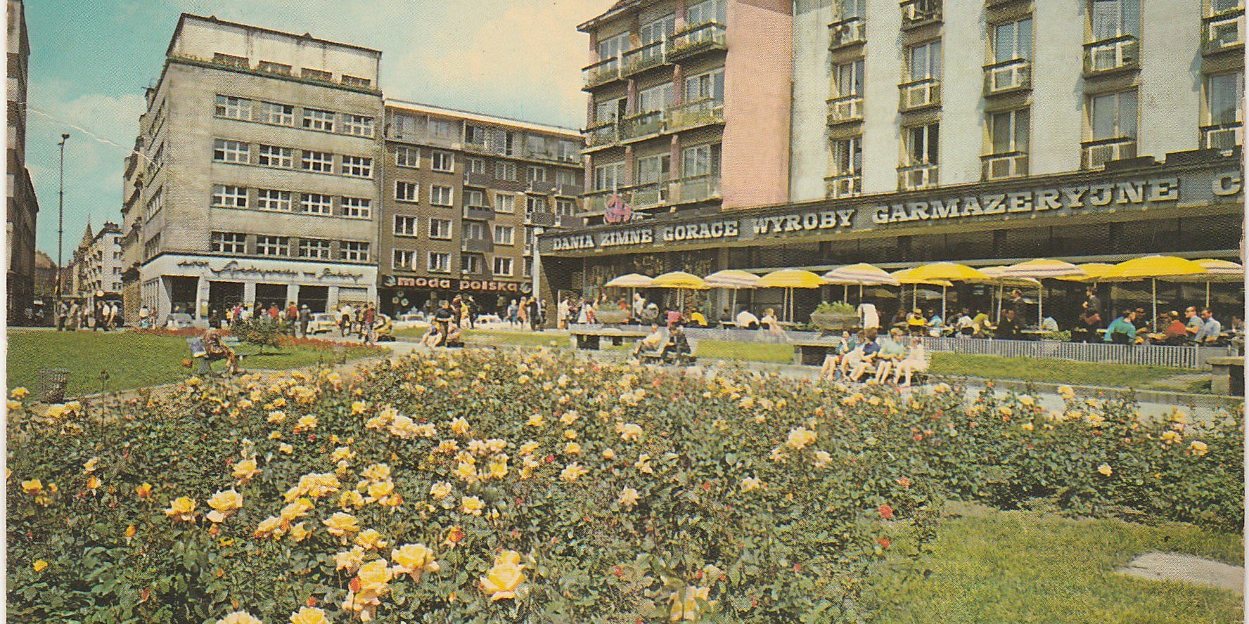 Corylus jest kobietą! banner