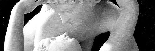 sandraalbert_'s profile banner image