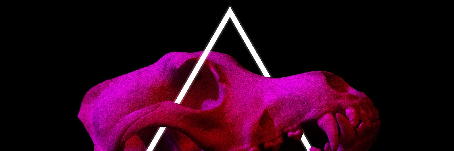 S T R A N G E R S banner