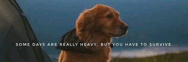 eddie50941's profile banner image
