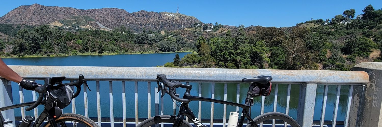 Christian the Lion banner