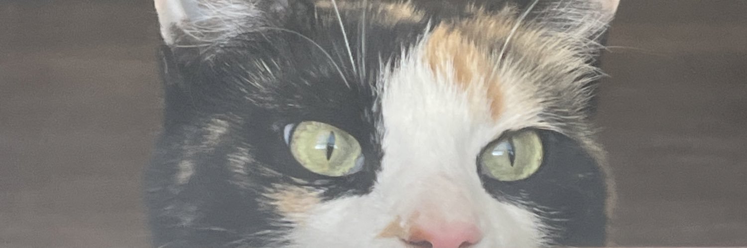 ⚧ JazzyQuinn ⚧ banner