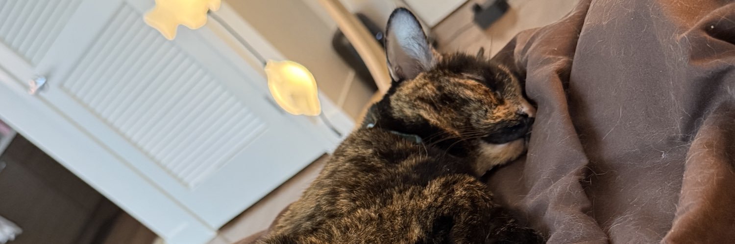 hailBMO's profile banner image