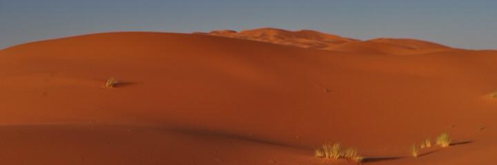 carolcliche's profile banner image