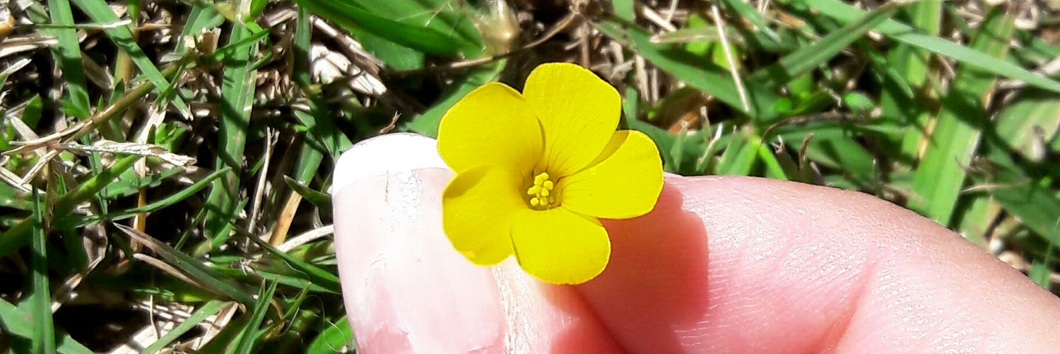 baarbisl's profile banner image