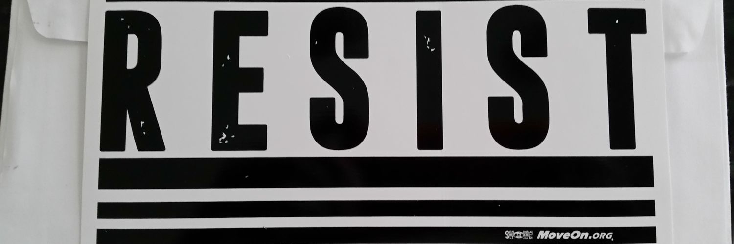 Kim Trilli 🇺🇦 banner