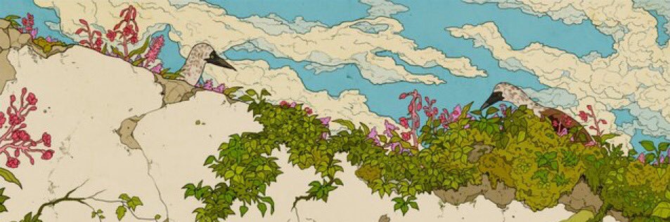 Kip banner