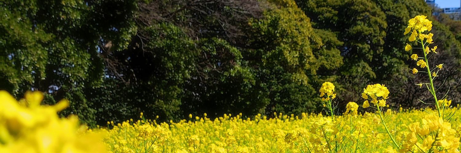 PChantto's profile banner image