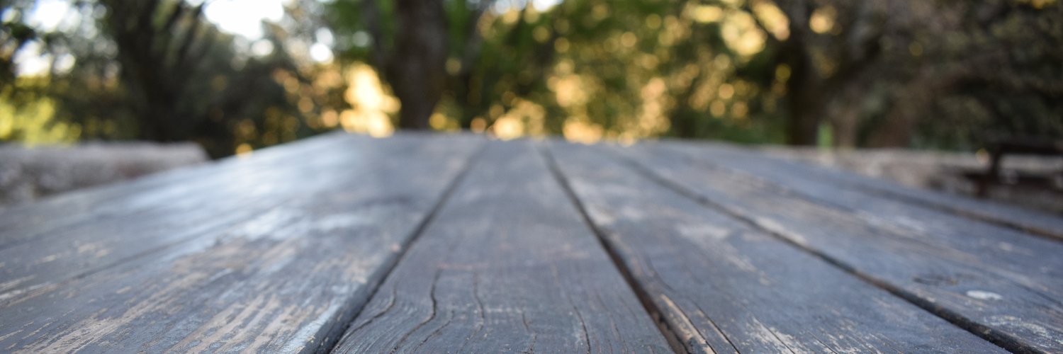 LPorky's profile banner image