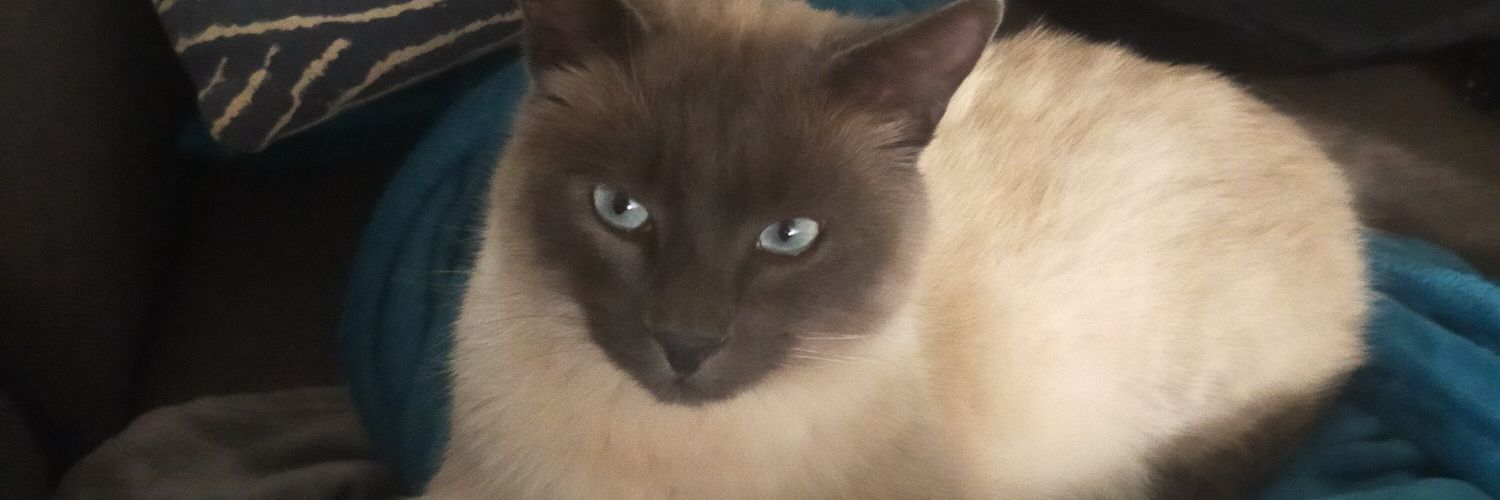 nyrylou's profile banner image
