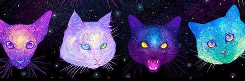 purpleureuse's profile banner image