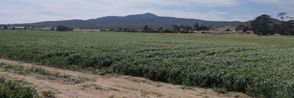 akaringafarming Profile Banner
