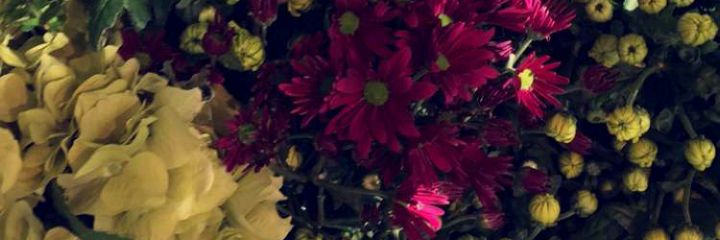 Salgado_Ale96's profile banner image
