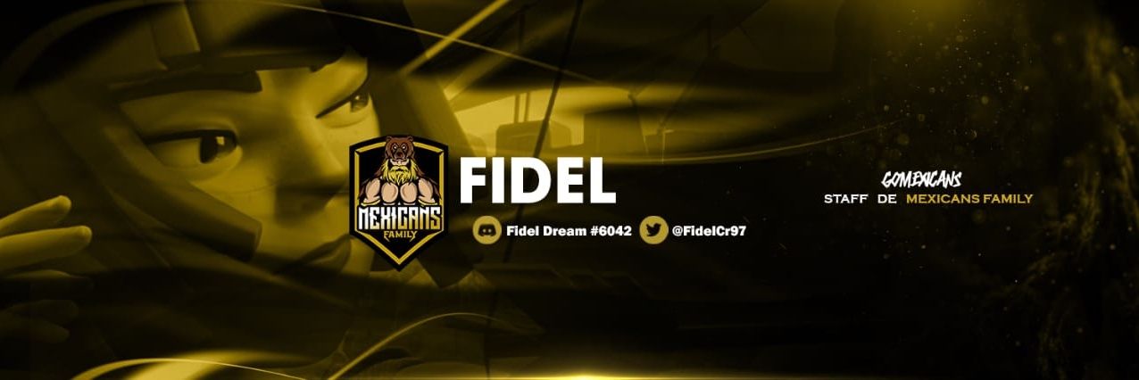 FIDEL banner