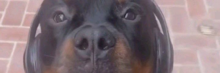 juao banner