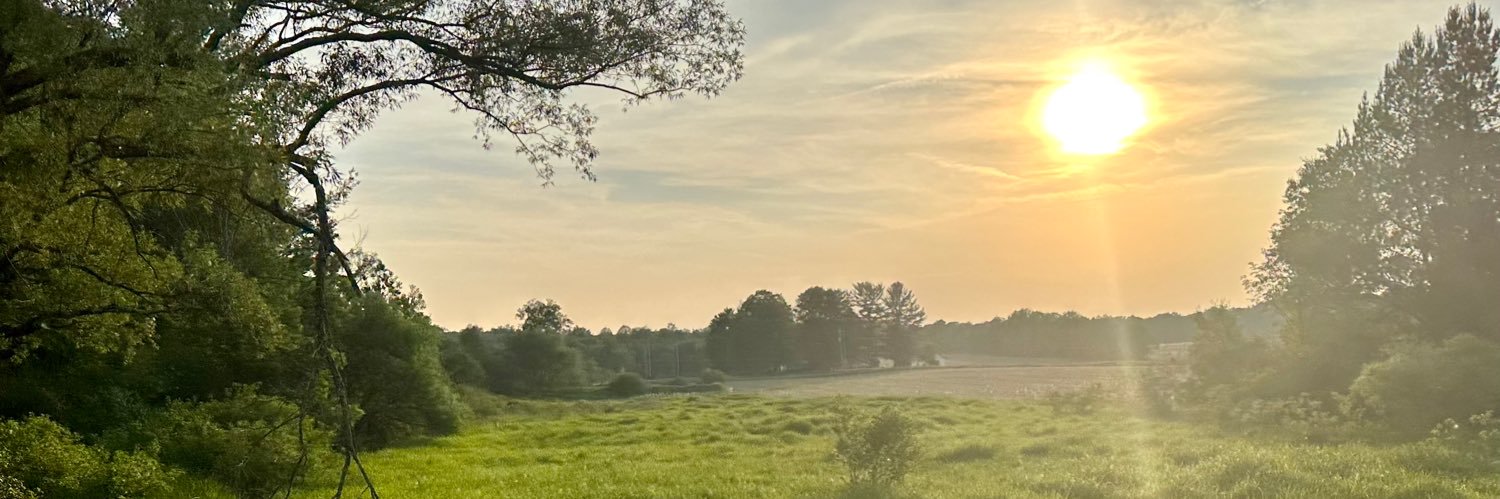 Buckibbq's profile banner image