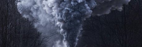 Steven Andrean banner