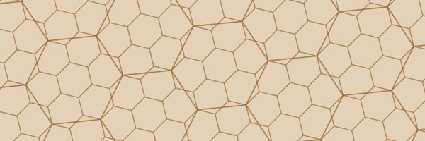 nrabinowitz Profile Banner