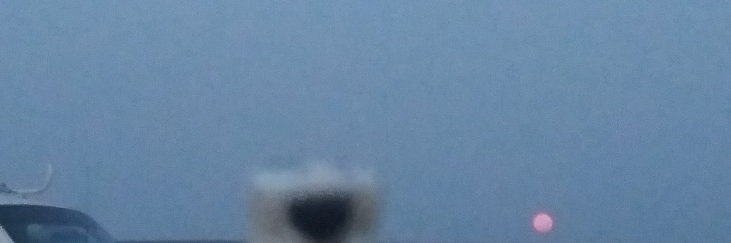 polliwog banner