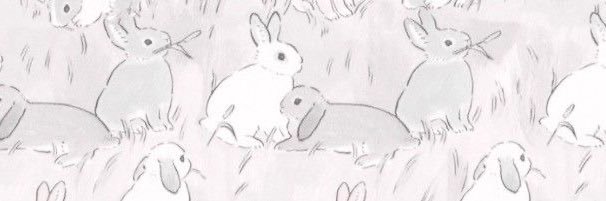 spacepiraate's profile banner image