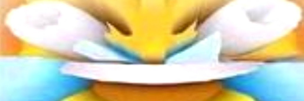 ChickyPoty's profile banner image