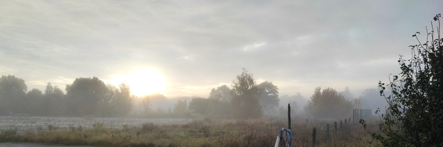 Дикобраз в тумані banner