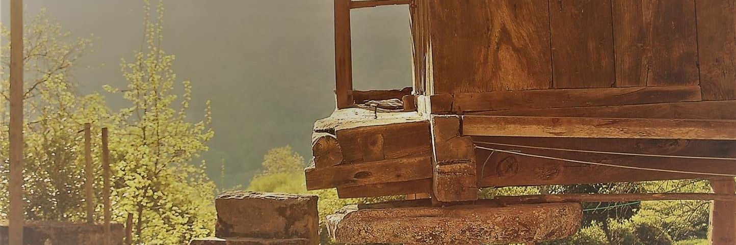 Paco Domene 🔻 banner