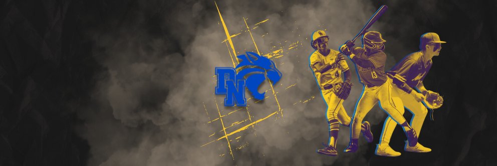 Dav. North Baseball banner