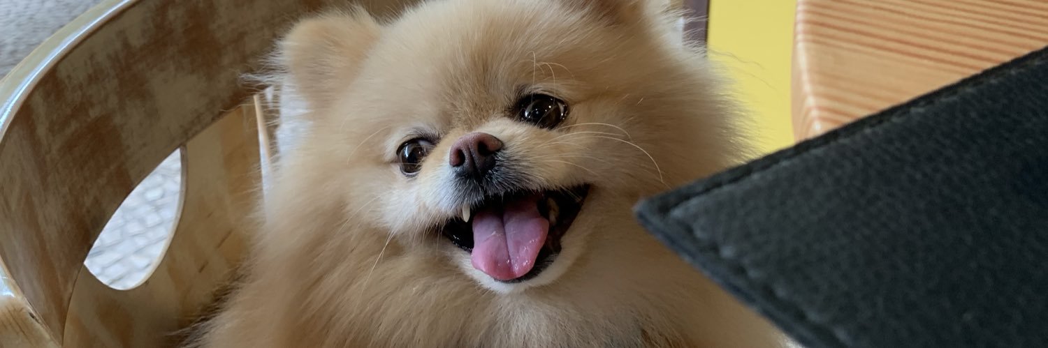 bellaandradec's profile banner image
