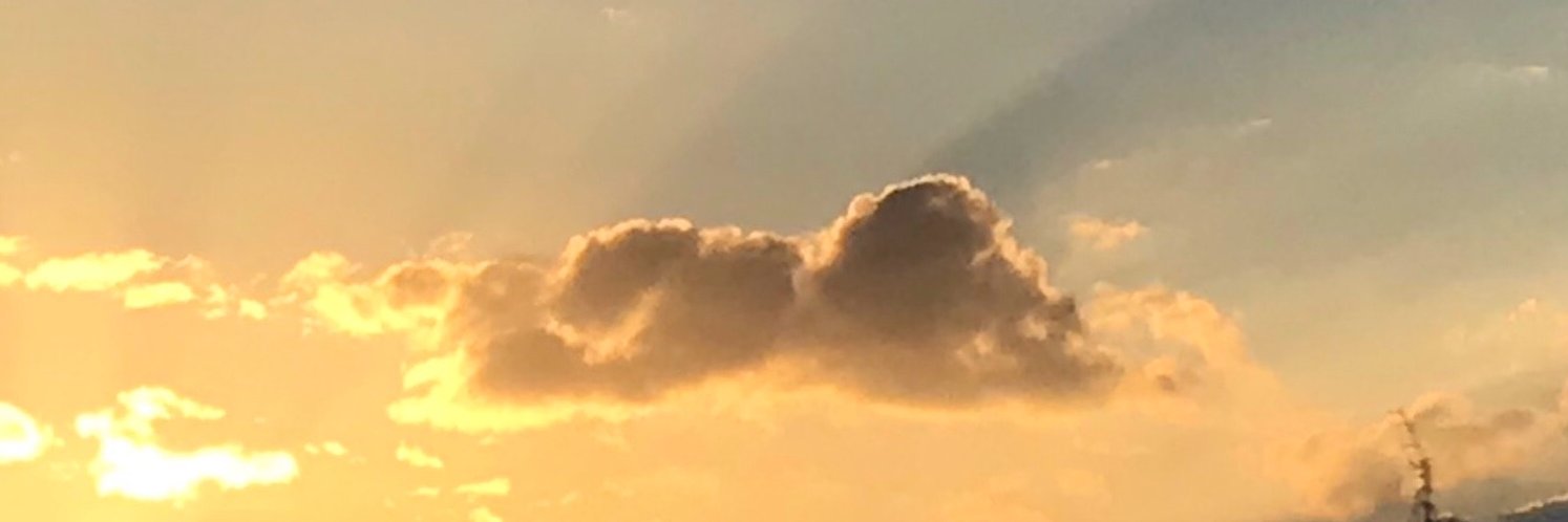 Transpacific87's profile banner image